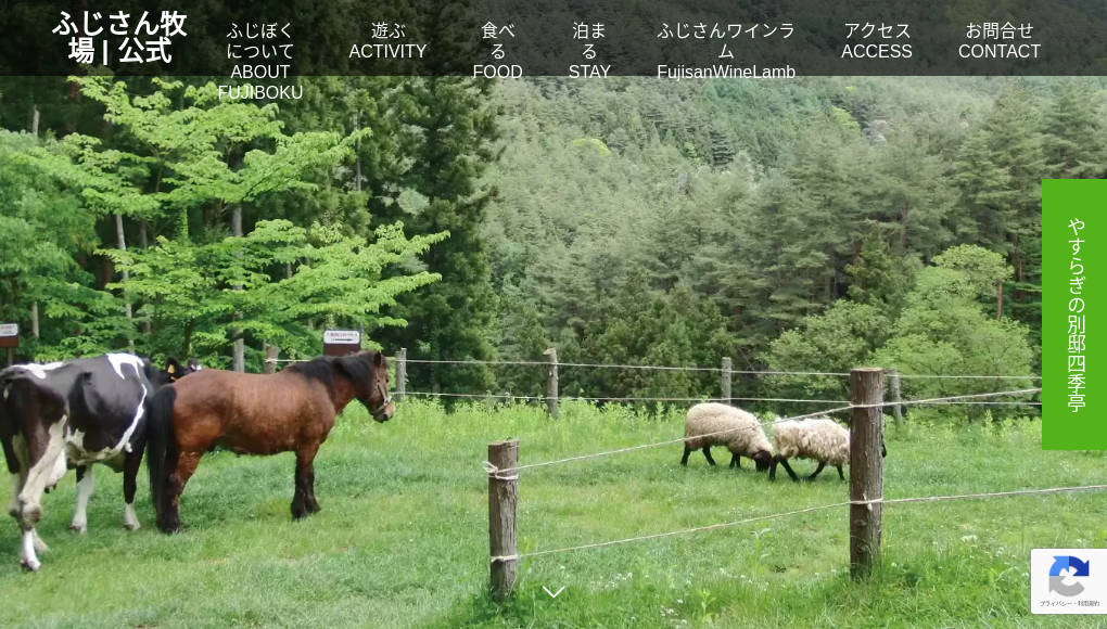 観光地・観光スポット