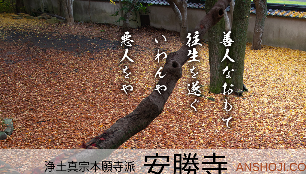 観光地・観光スポット